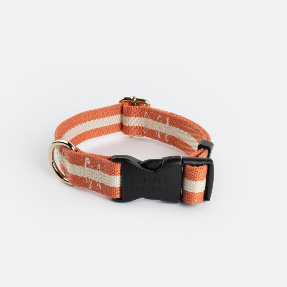 Caroline Gardner Orange and Cream striped dog collar