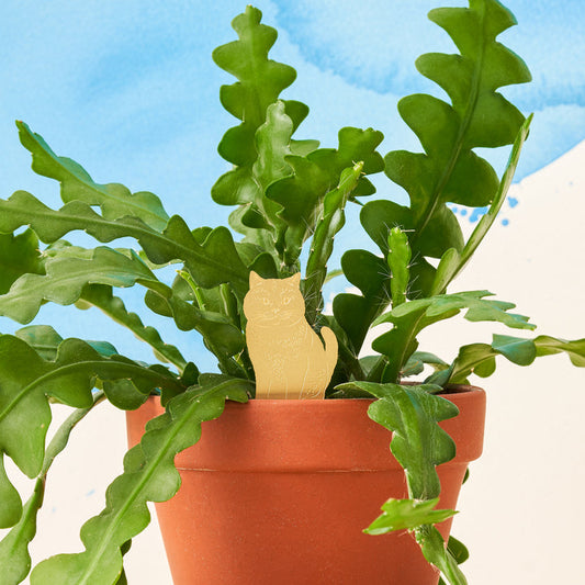 Another Studio's Plant Animal - Plant Animal Cat