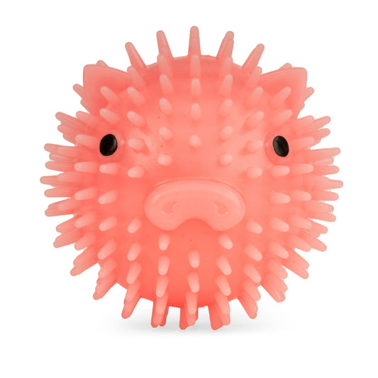 Kikkerland Piggy Dog Ball
