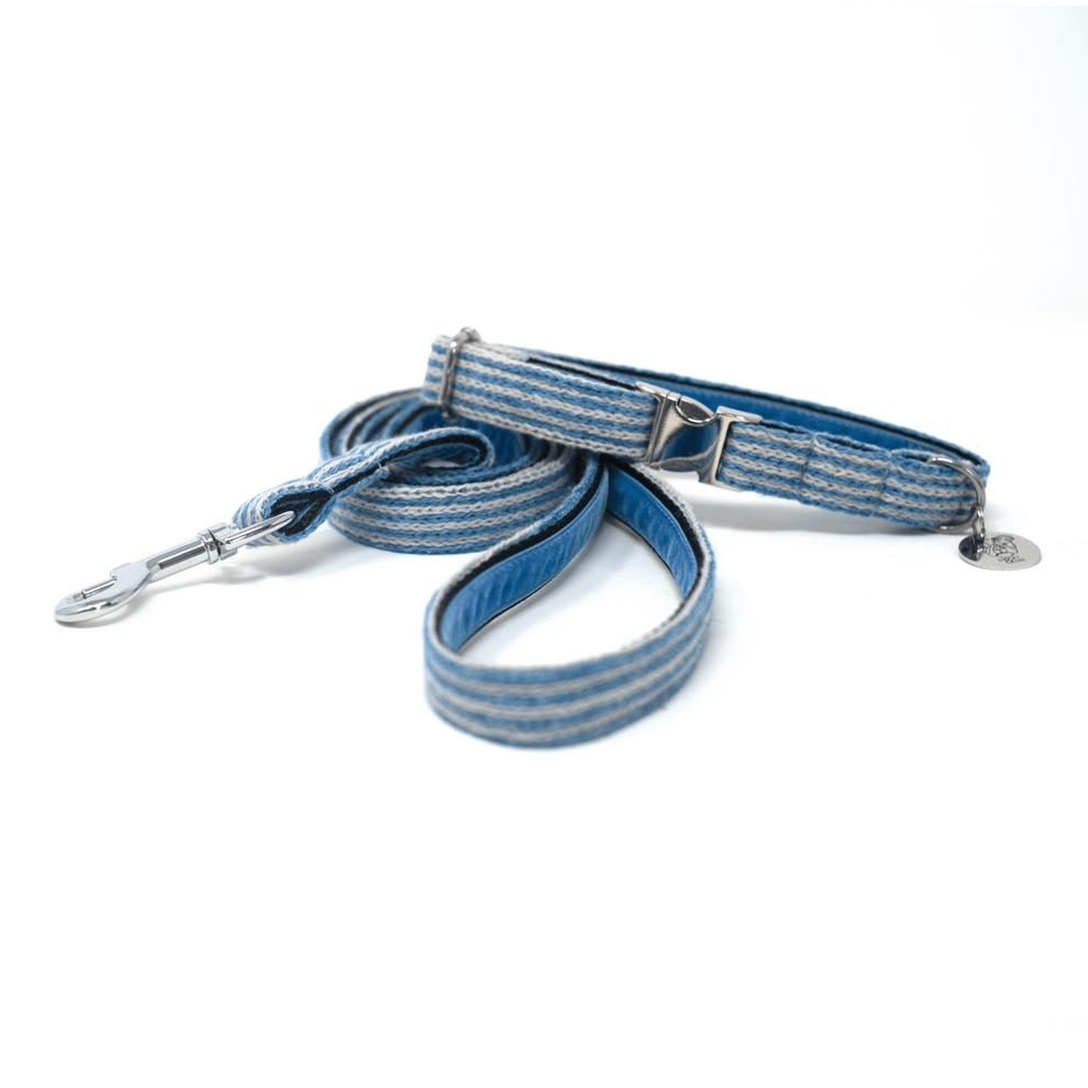 Stocky & Dee Sorbet - Tutti Collection - Luxury Dog Collar