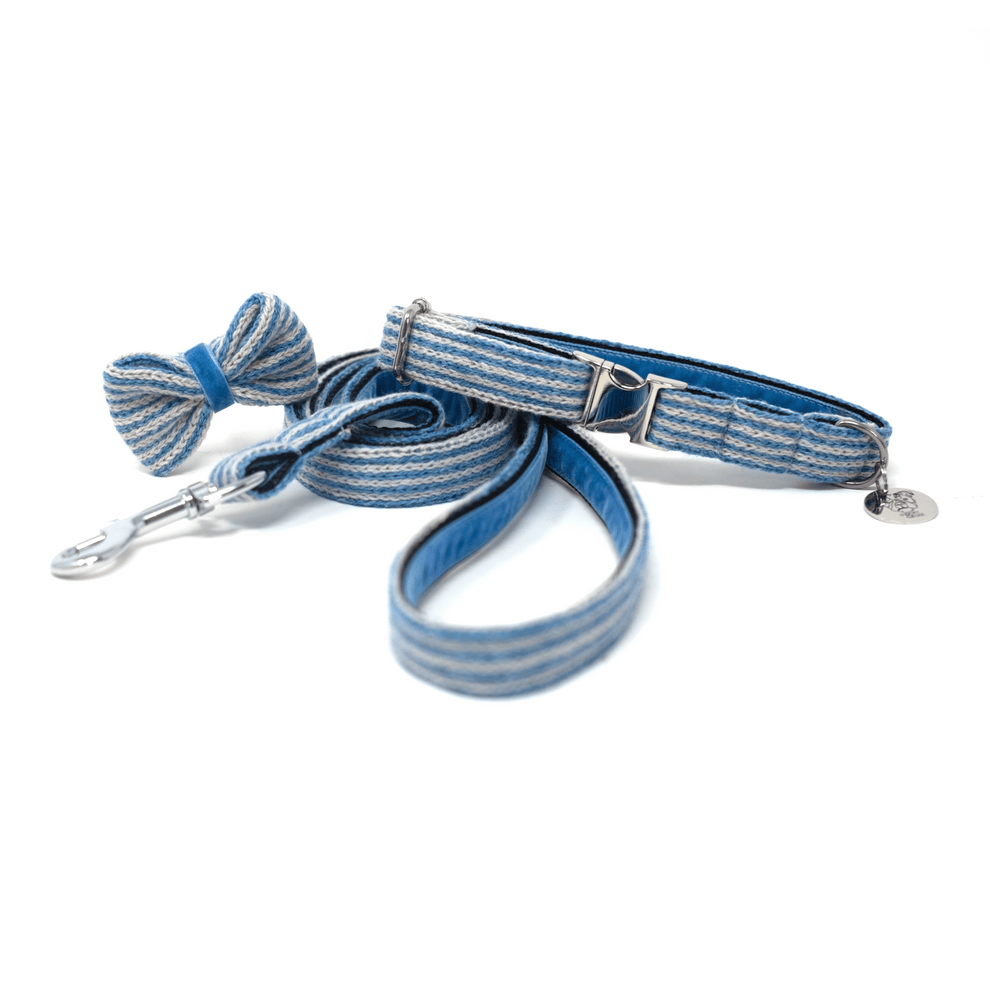 Stocky & Dee Sorbet - Tutti Collection - Luxury Dog Collar