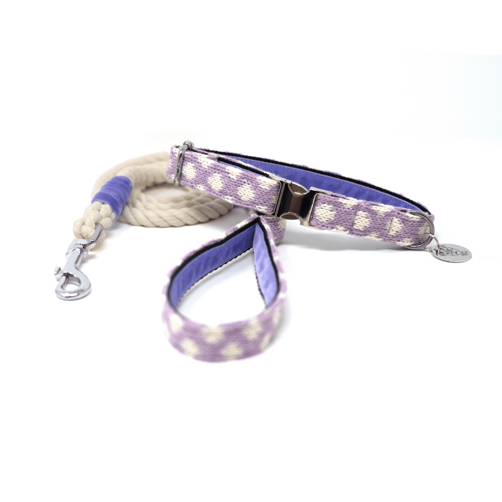 Stocky & Dee Lavender - Polkadot Collection - Luxury Dog Collar