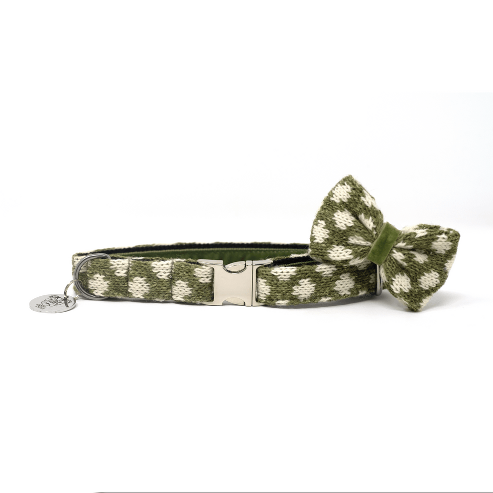 Stocky & Dee Fern - Luxury Dog Collar