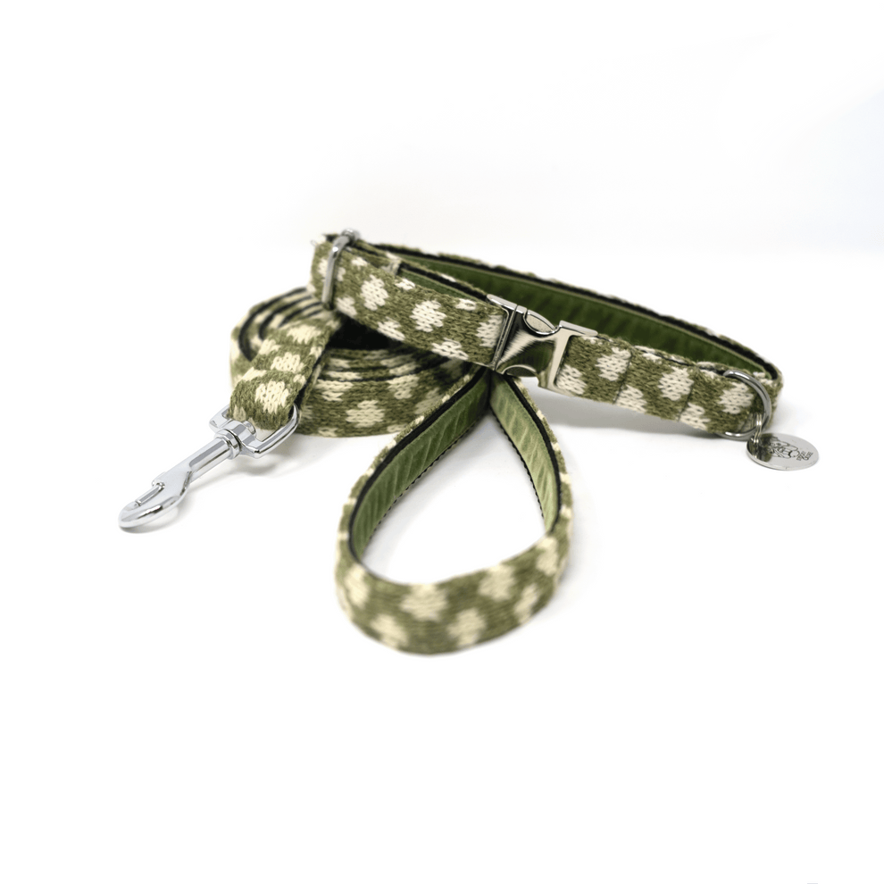 Stocky & Dee Fern - Luxury Dog Collar