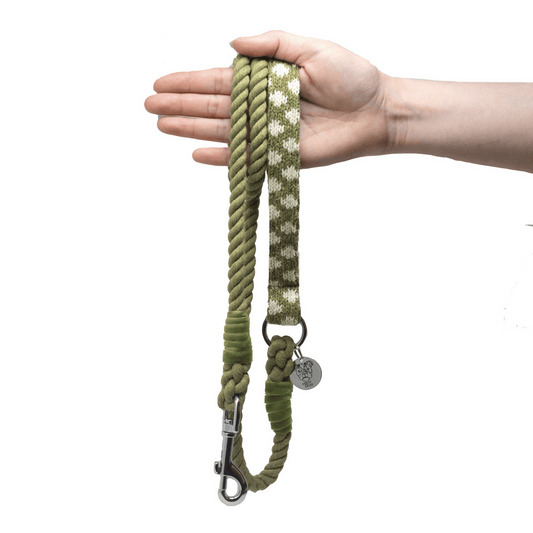 Stocky & Dee Fern - Luxury Dog Collar