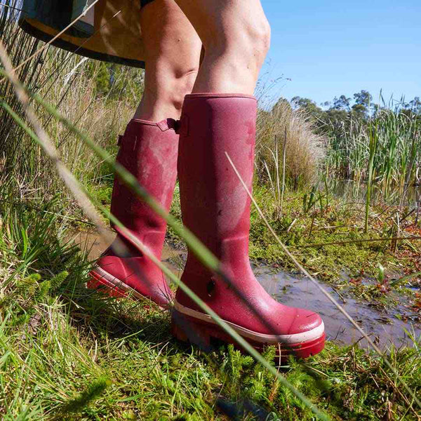 Merry People Fergie Tall Wellies in Beetroot Red