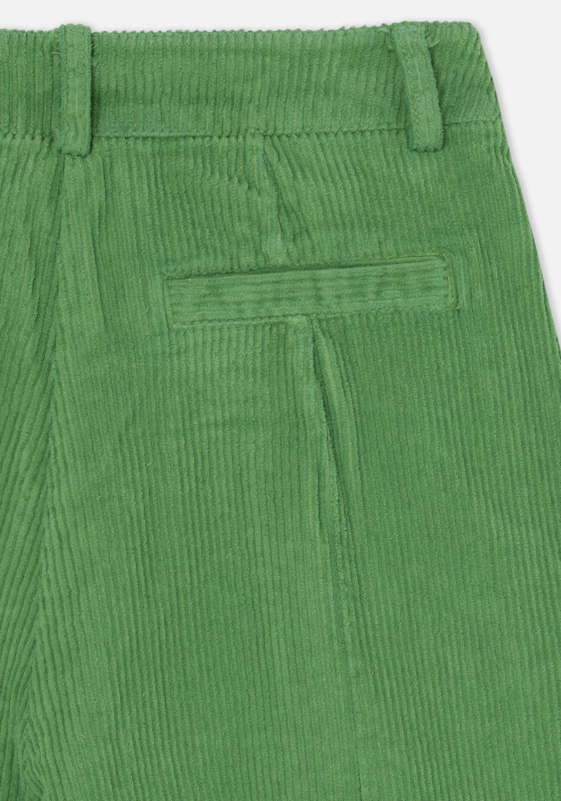 Dr Bloom Green Dado Pants
