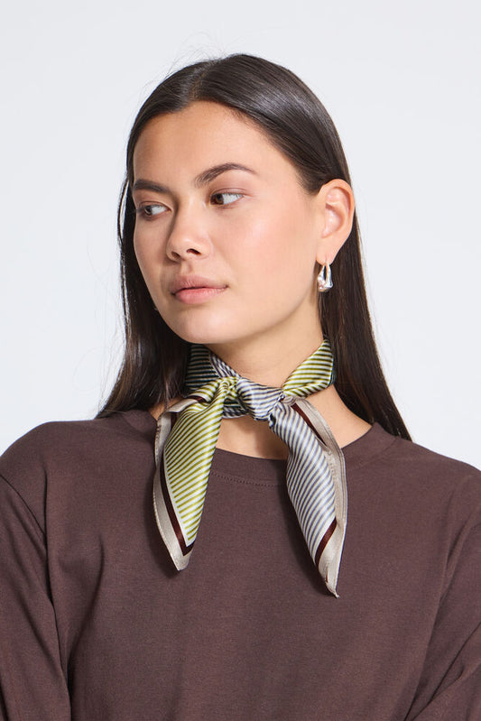 A woman wearing a brown long-sleeve top and a patterned silk neck scarf with green, yellow, and gray stripes, photographed against a light gray studio background.