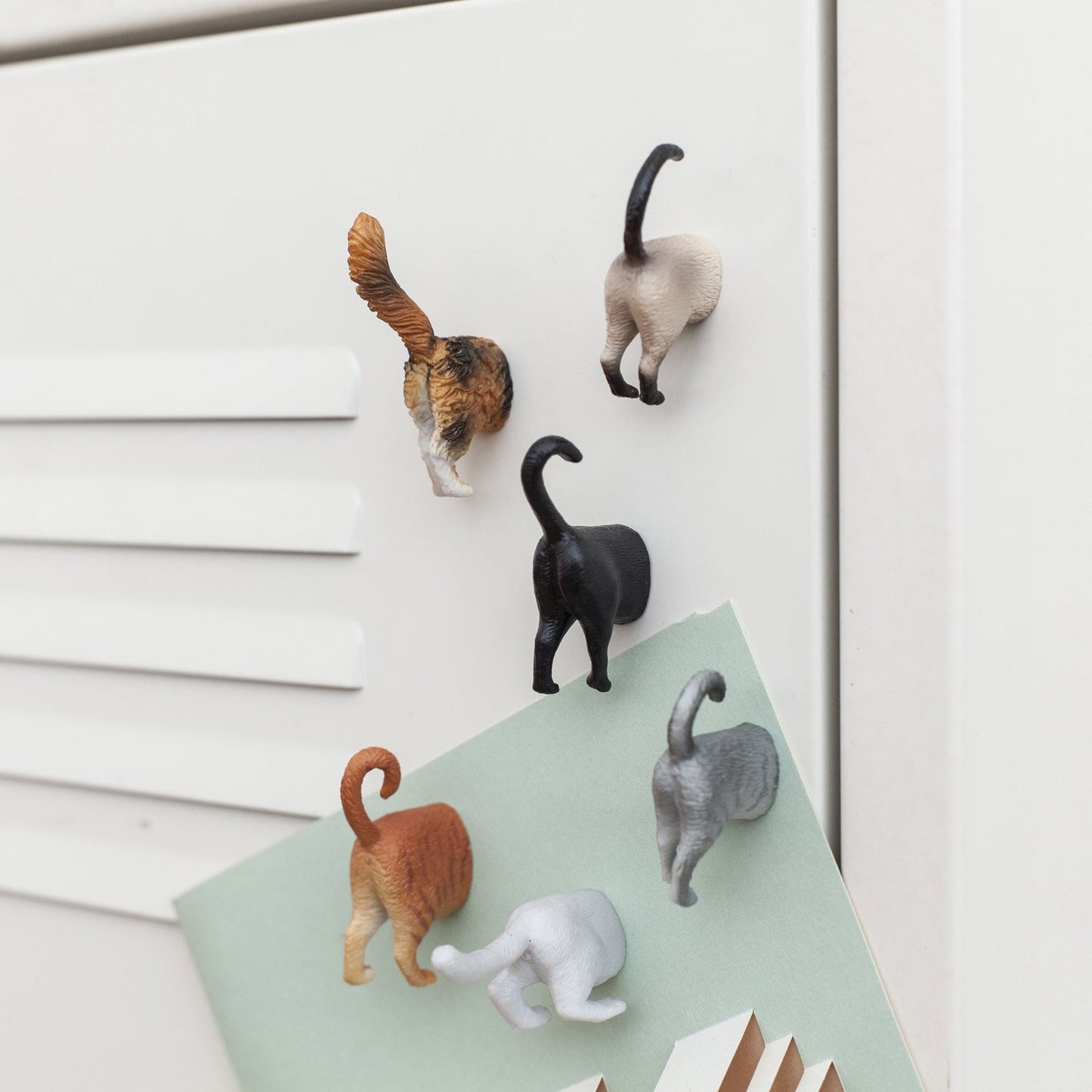 Kikkerland Cat Butt Magnets