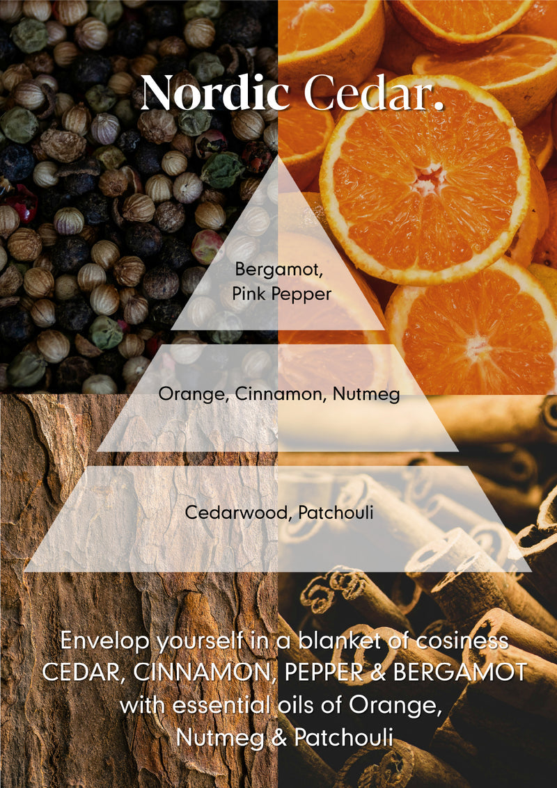 Osmology Nordic Cedar Scented Jar Candle