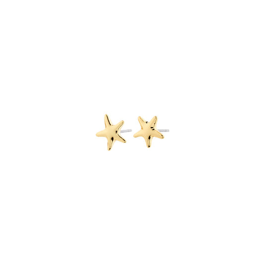 Pilgrim ANDRE Earrings, Gold-Plated