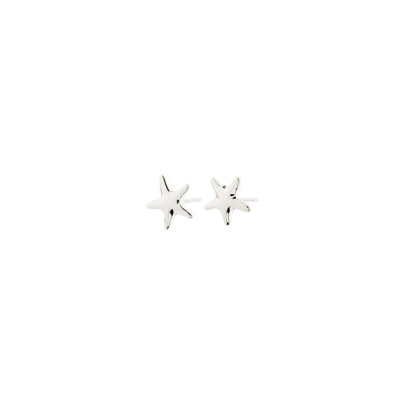 Pilgrim ANDRE Earrings Silver-Plated