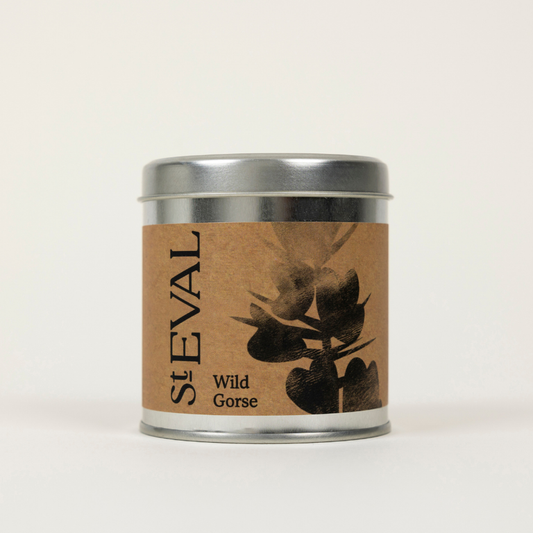St Eval Wild Gorse, Scented Tin Candle. Candle tin labelled 'St. Eval Wild Gorse' on a white background