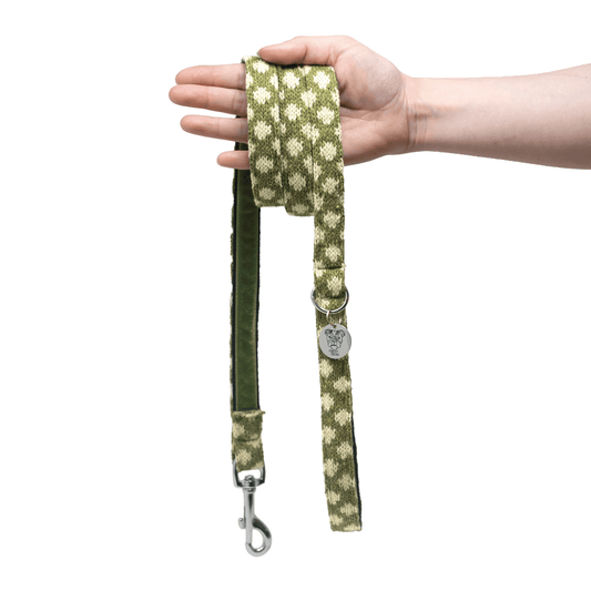 Stocky & Dee Fern - Luxury Traditional Dog Lead