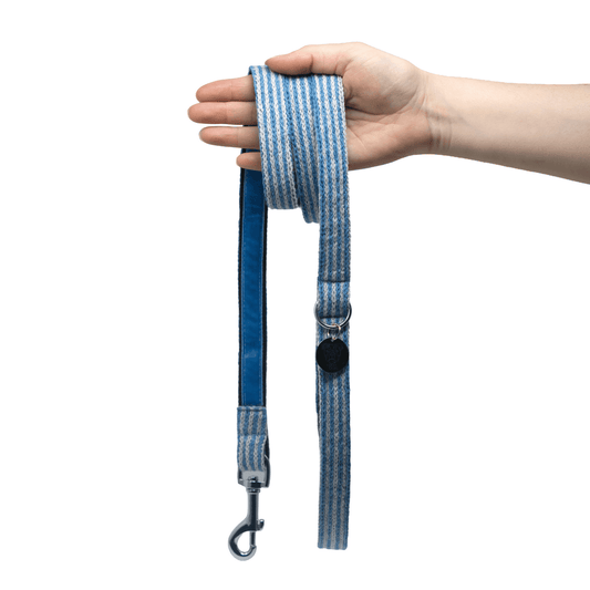 Stocky & Dee Sorbet - Luxury Traditional Dog Lead