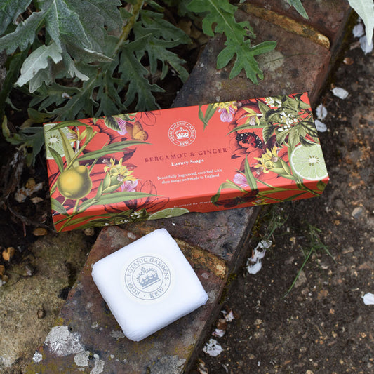 The English Soap Company - Kew Gardens Bergamot & Ginger Triple Soap Gift Box