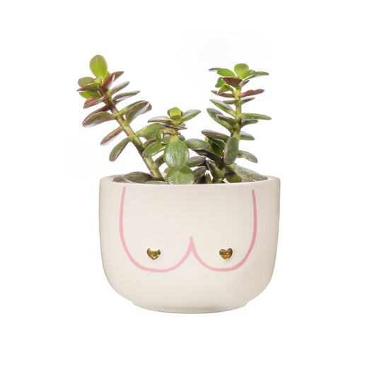 Sass & Belle Large Girl Power Boobies White Planter