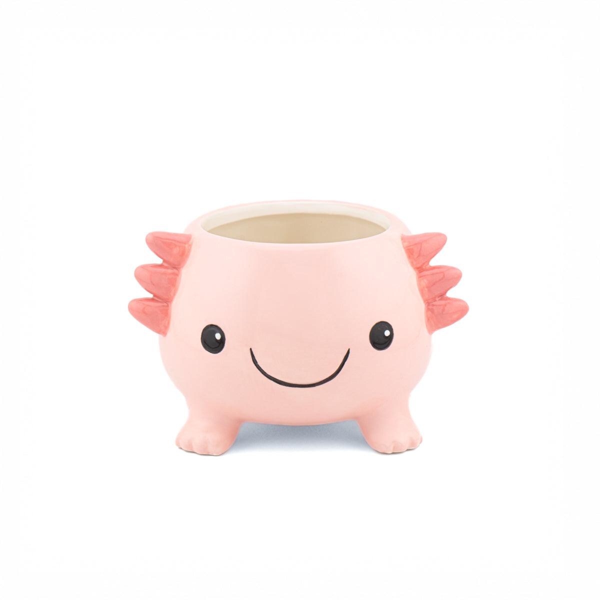 Sass & Belle Axolotl Planter