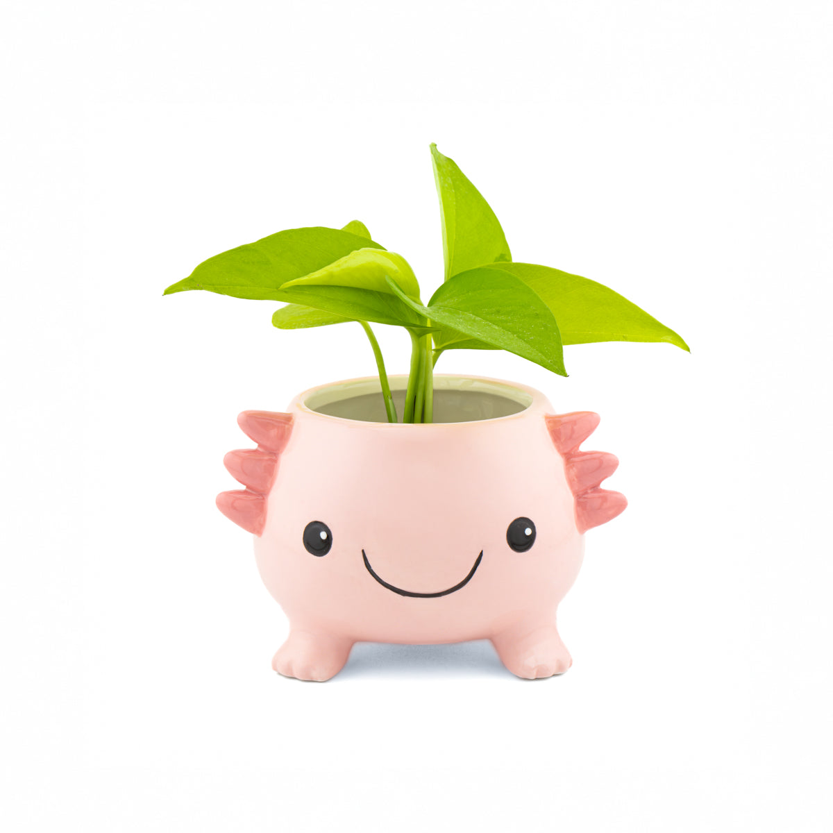 Sass & Belle Axolotl Planter