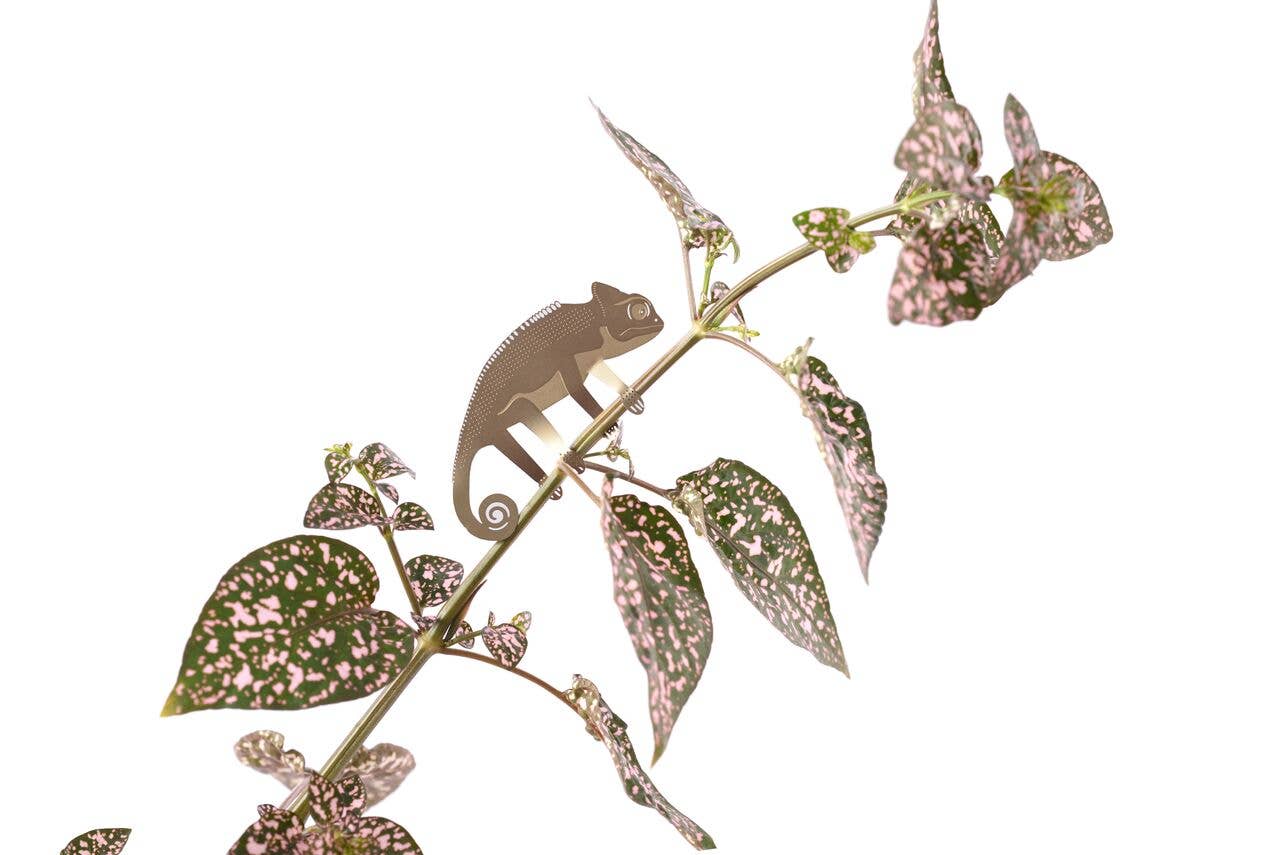 Another Studio Plant Animal - Chameleon, houseplant gift