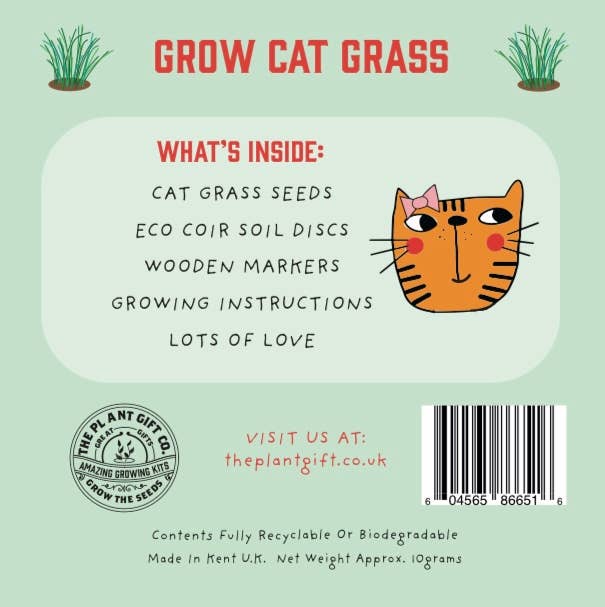 Grow Cat Grass. Eco Mini Cat Friendly Grow Kit