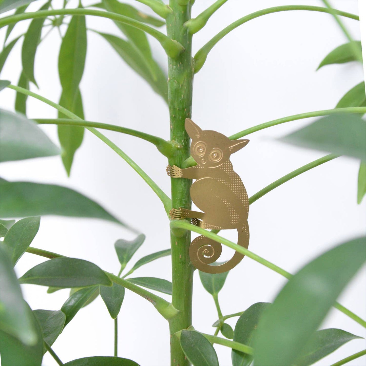 Another Studio's Plant Animal - Bush Baby, hanging plant decoration