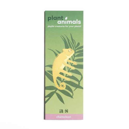 Another Studio Plant Animal - Chameleon, houseplant gift