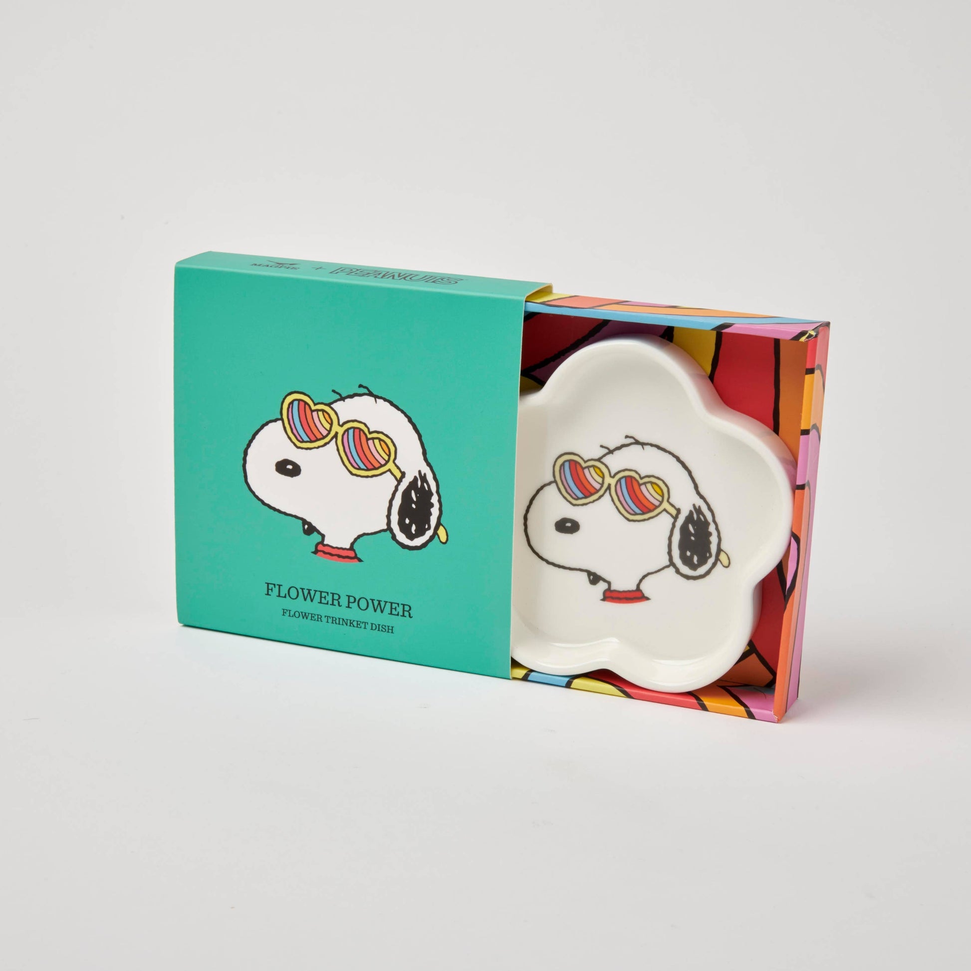 Decorative plate with a cartoon dog design in a colorful box on a light gray background