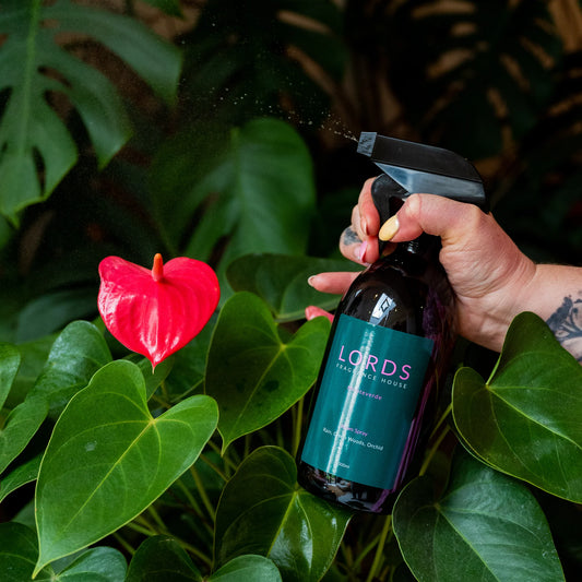 NEW Home Fragrances Twenty Three Living