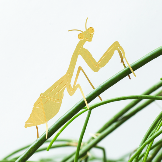 Another Studio's Plant Animal - Plant Animal Praying Mantis