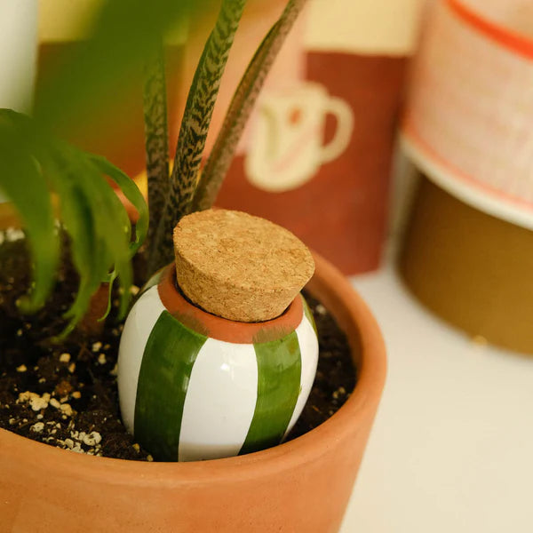 Pepin Olla Watering Bulb - Green & Ivory Stripe