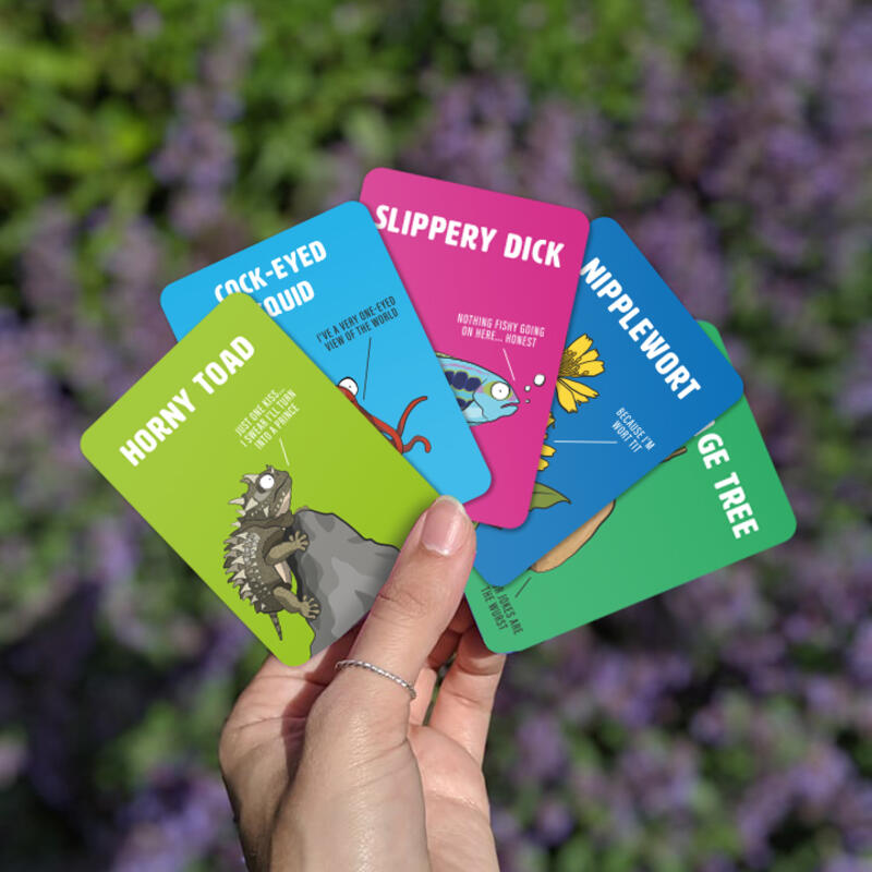 Don't Be A Dik Dik Card Game