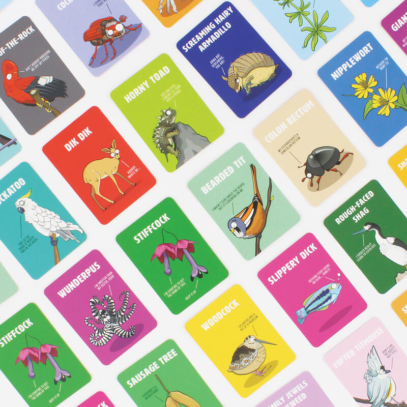 Don't Be A Dik Dik Card Game