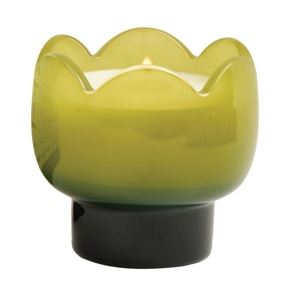 Paddywax ‘Verbena & Lemongrass’ Green & Dark Green Tulip Glass Candle