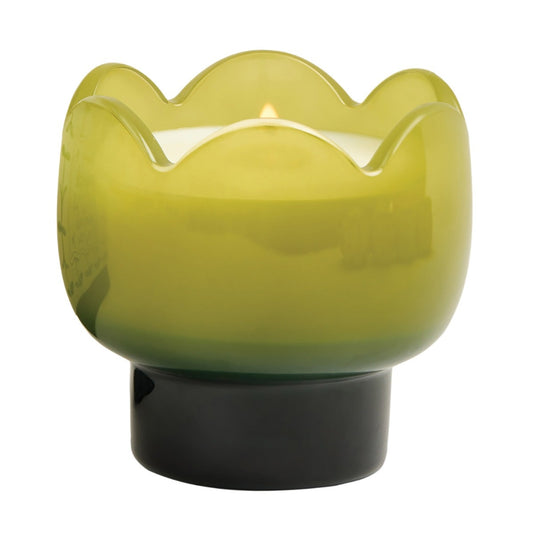 Paddywax ‘Verbena & Lemongrass’ Green & Dark Green Tulip Glass Candle