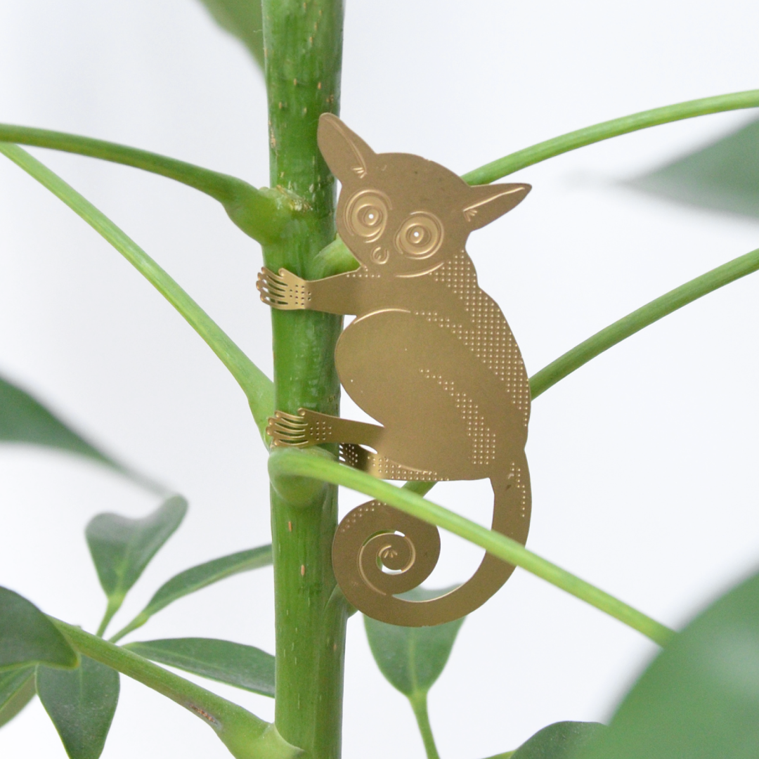 Another Studio's Bush Baby brass hanging plant decoration