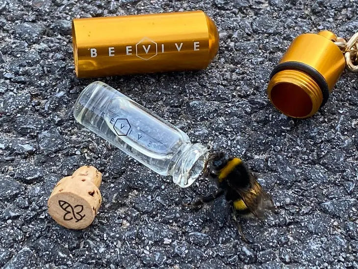 The Original Bee Revival Kit- Various Colours Available
