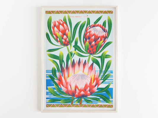 Protea - A3 Risograph Print