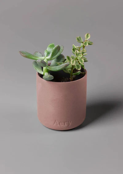 Dusky Pink Ceramic Clay Pot 
