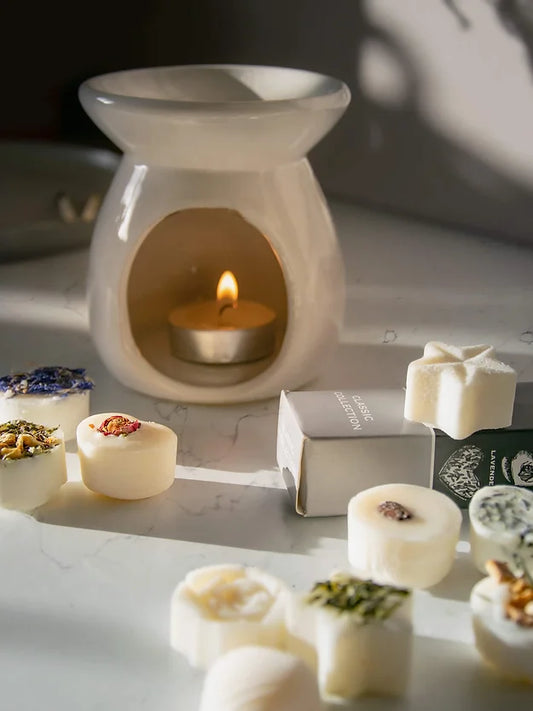 Wax Melts & Wax Melter